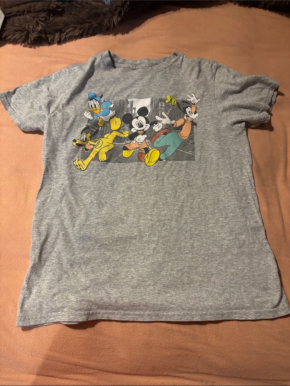 Disney Gray Short Sleeve Tee with Mickey, Donald, Goofy & Pluto Graphic